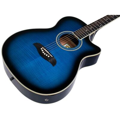 ❤️弦高調整済！「Ashton OM-24JP/BLS」ブルー(*゜∀゜*)〜♪ 1.jpg