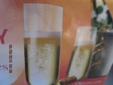 SET OF 12 HEAVY DUTY PLASTIC FLUTES - T6-9