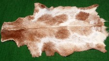 Luxury Goat hide Rug Hair on Area Rug Size 36"x22" Animal Leather Goat Skin G225