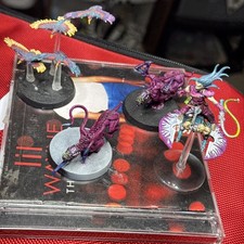 Drukhari Beastmaster +Razoring Flock+ (2x) Khymerae Lot ASSEMBLE & PAINTED WH40k