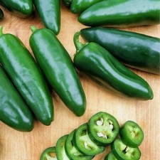 Coolapeno Heatless Jalapeno Pepper Seeds