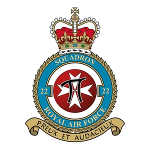 No. 22 Squadron RAF badge patch Self Adhesive Vinyl Sticker