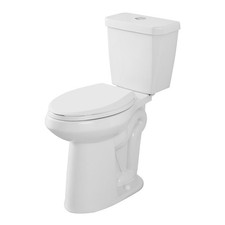 21'' Tall Two Piece Toilet Elongated Dual Flush 0.8/1.28GPF w/ Soft Closing Seat