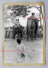 Foto vintage de la India #1107 de la década de 1940 de Calcuta Village elefante circo desfile rezando