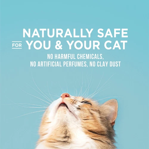 World's Best Cat Litter Poop Fighter Litter,Flushable 99% Dust Free, 28 lb bag - Picture 6 of 12