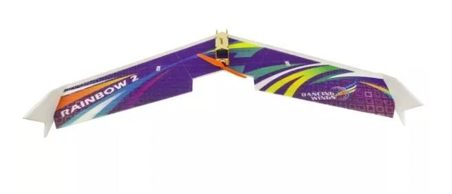 arkai Rainbow PNP - Delta /  Nuri - 1000 mm  für FPV oder zum "Rumbolzen" - Bild 4 von 4