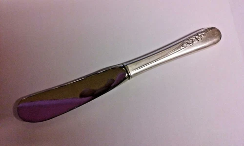Sterling International BLOSSOM TIME 5 7/8" Hollow Handle Butter Spreader (SSFL9)