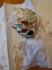 Tree Of Life Mosaic Panel For Sale. Bring Nature's Beauty Into Your Home