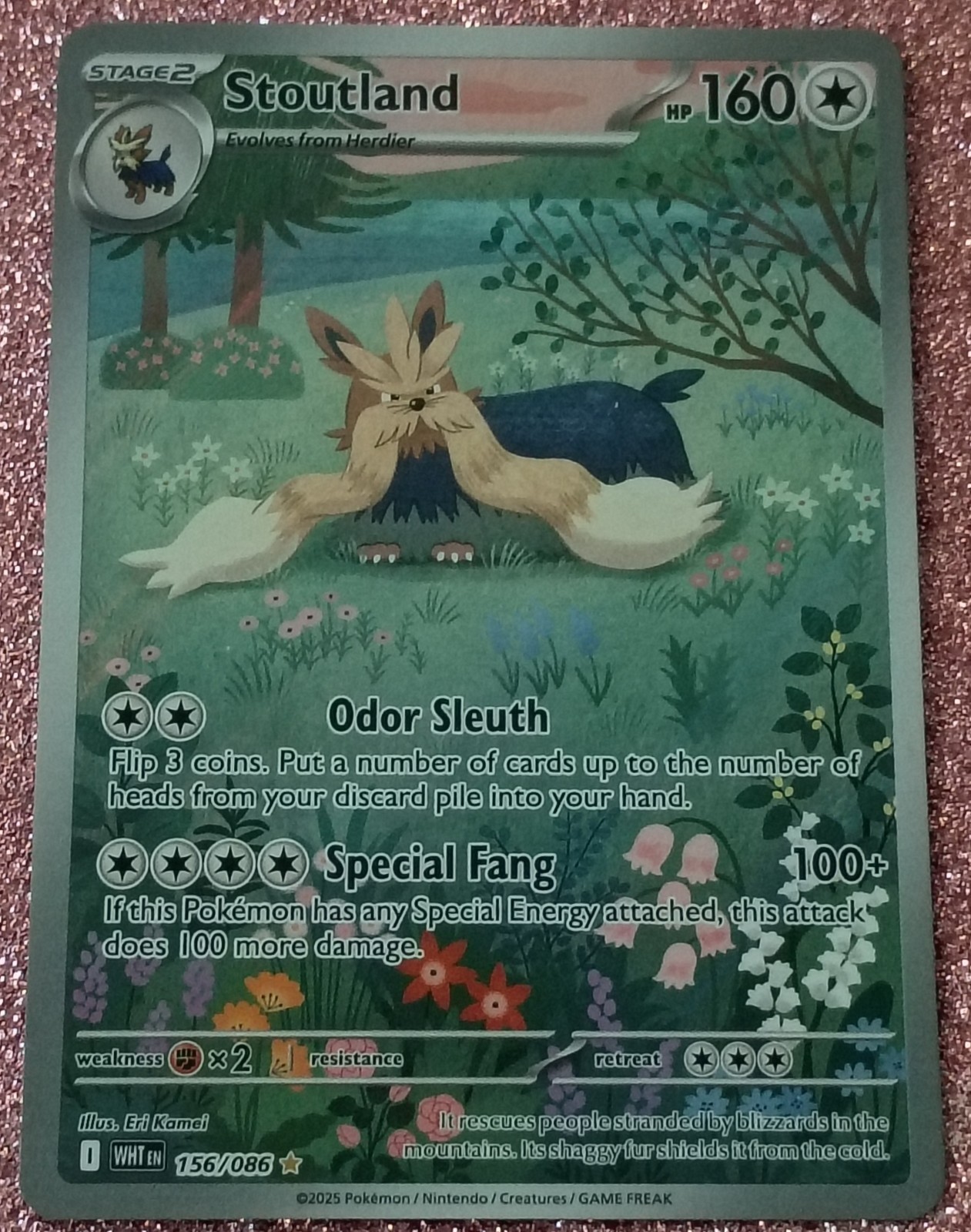 Pokemon Stoutland 156/086 White Flare
