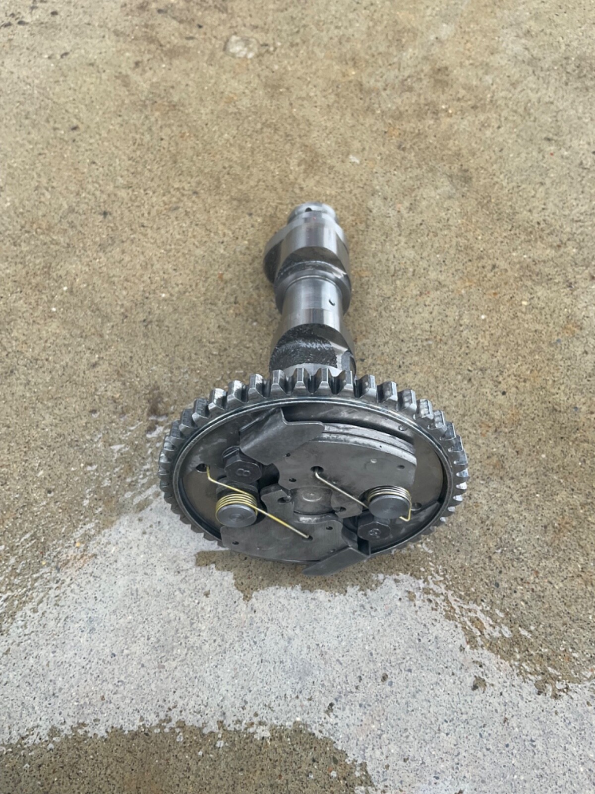 20012005 Yamaha Raptor 660 Cylinder Head Top End Valves Camshaft Bolts