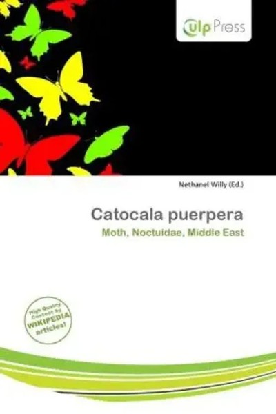 Nethanel Willy | Catocala Puerpera | Taschenbuch | Englisch (2026)-image