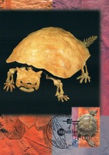 1997 Dinosaur Horned Turtle Fossil POSTCARD Maxicard 45c Stamp Cancel Perth