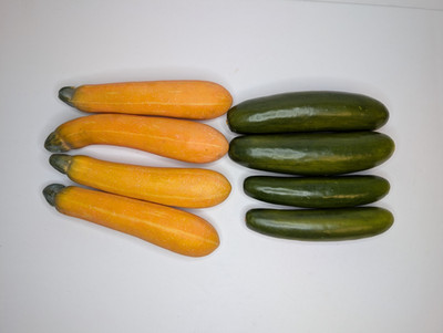 Lot of 8 Faux Artifical Plastic Realistic Vegetables Squash Cucumbers