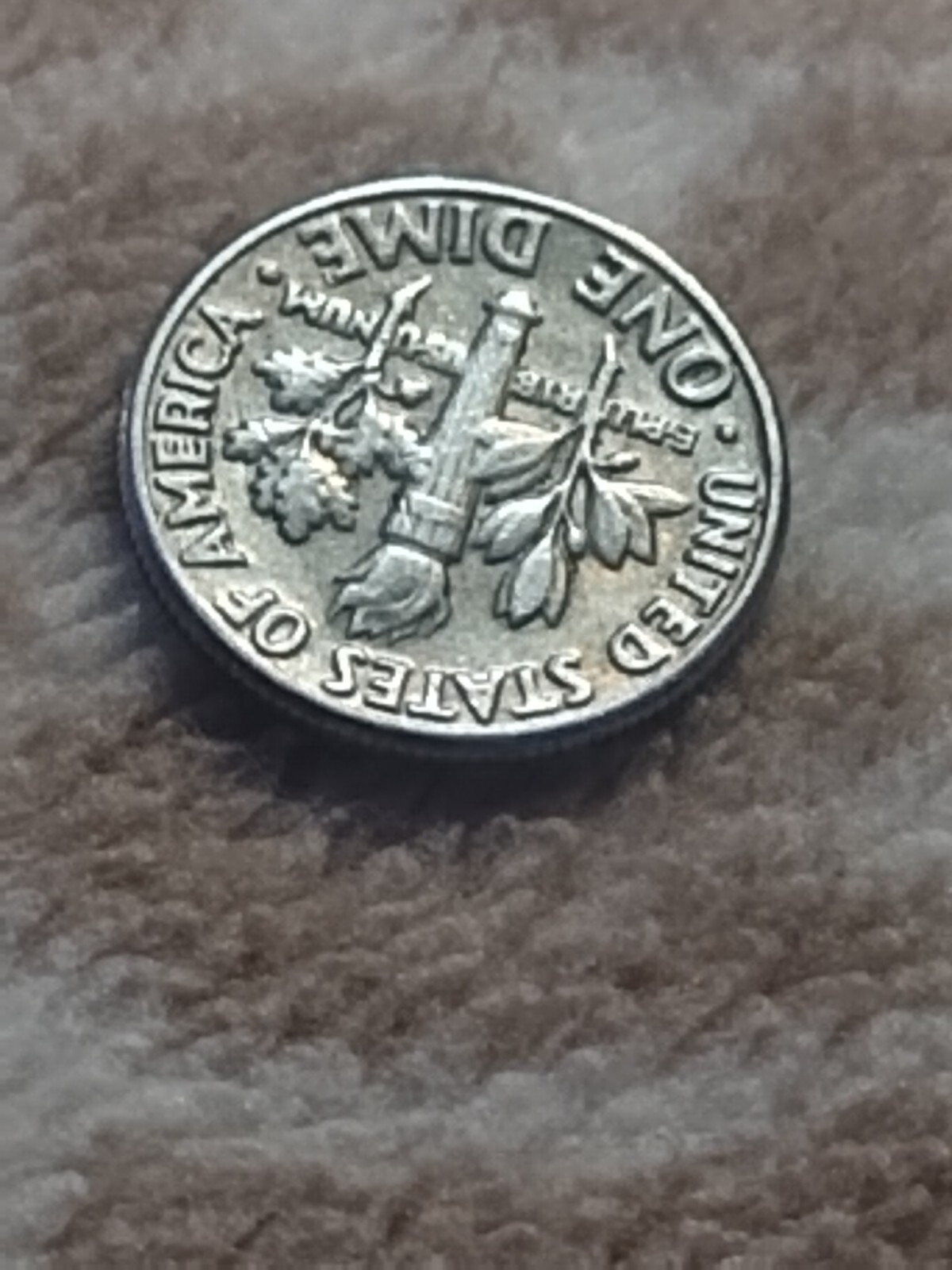 Picture 10 of 14
