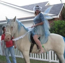 Halloween Costume Fairy Dress Velvet Sheer Sz M Vintage Medieval Blue Flowy