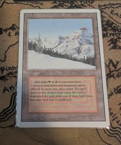 Magic The Gathering Taiga | eBay