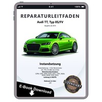 Audi TT 8S FV Ab 2014 Instandsetzung Benzinmotor 2,0L Reparaturleitfaden Ebook