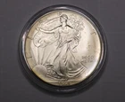 1995 Silver American Eagle Coin Littleton Coin Company