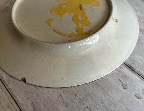 RARE 19th Century Spode Plate Exotic Birds English Circa 1810 - Picture 5 of 7