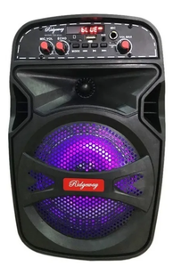 ridgeway karaoke speaker