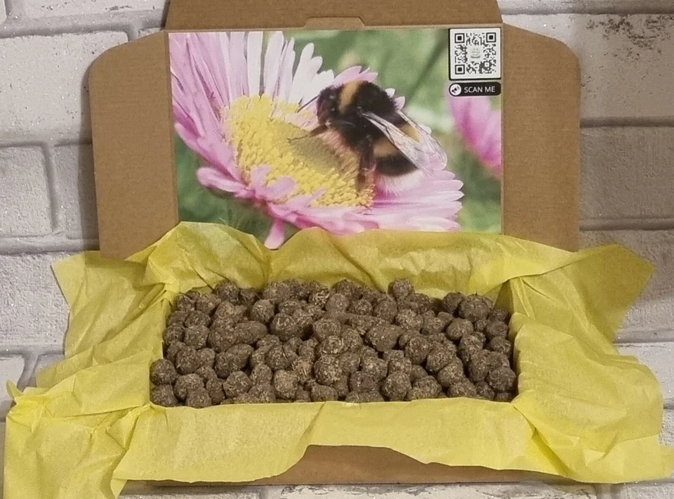 Bee Bombs Wildflower seeds gardener gift flowers meadow butterflies present ball - Image 4 of 4