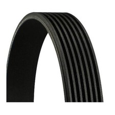 Continental Ctam 7PK1388 Keilrippenriemen für Suzuki Grand Vitara II Honda