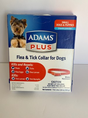 bear flea collar