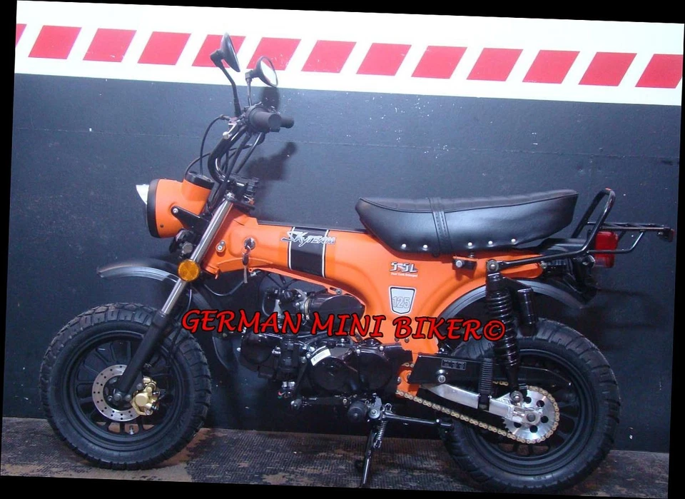 Skyteam Skymax 125 Special-Edition mit 12" Räder E5+ - Bild 3 von 4