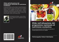 Tshimangadzo Robert Netshipise | Sfide Nell'attuazione Del Programma...