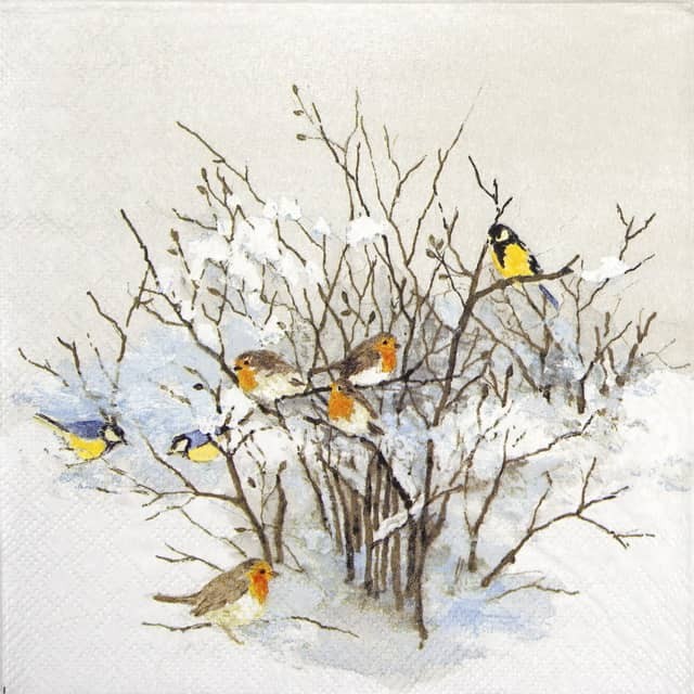 4x Birds on Branches Napkins 33x33cm Birds Paper for Decoupage Winter DIY Craft