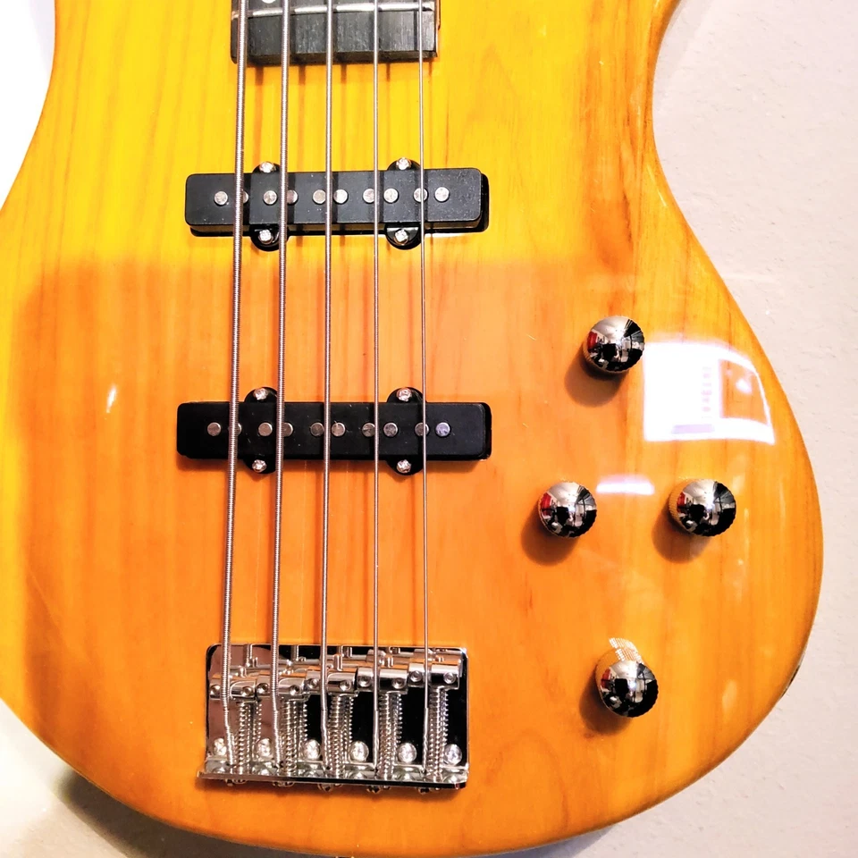 🎸¡PROS Y PRINCIPIANTES!🎸5 Cuerdas Estilo I Bajo Eléctrico + Estuche Suave/Bolsa de Concierto! Foto 3 de 4