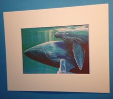 8" x 10" Matted 5" x 7" Print of Mother Whale & Her Calf Swimming in Ocean