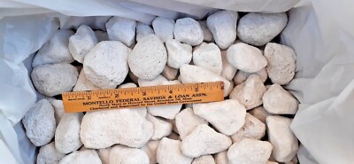 Macaw Bird Pumice Pet Chews 210 Pieces 1-2+'' Bulk Larger Toy Making Stones 