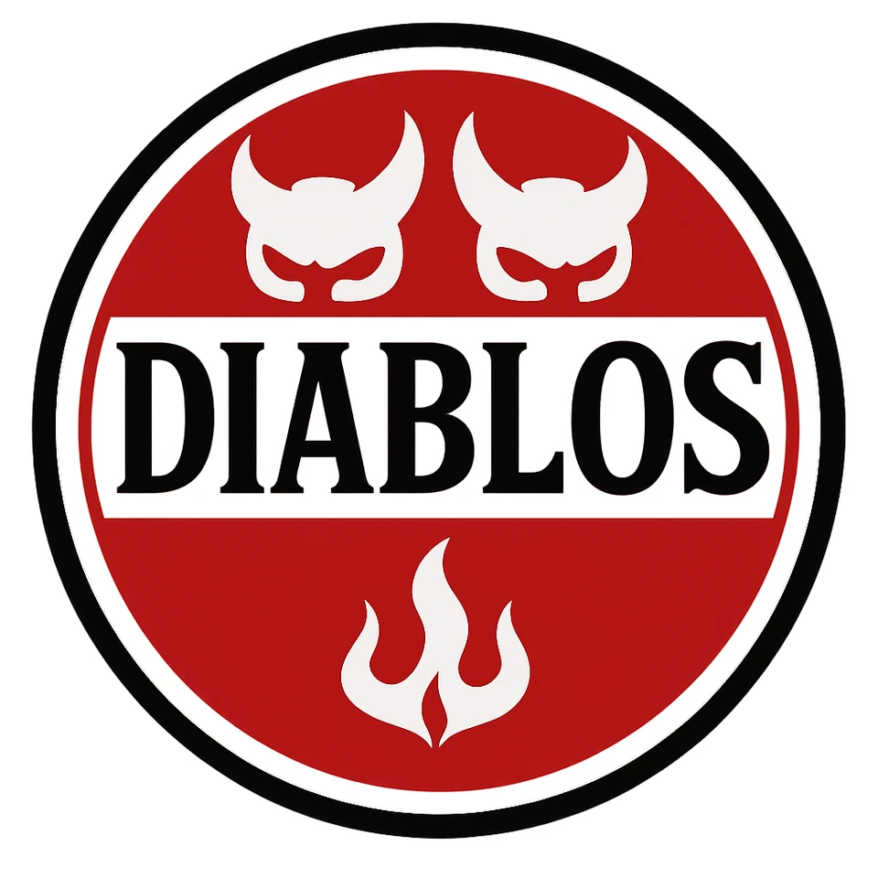 180/55-17 + 120/70-17 DIABLOS Motorcycle Tire SET - NEW (2 TIRES) DOT 2025 - Image 3 of 4