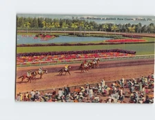 Postcard Mid Season at Hialeah Race Course Hialeah Florida USA