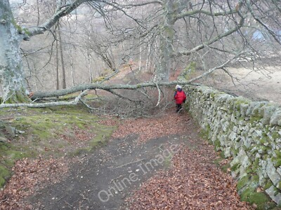 Foto 12x8 Der starke lokale Schneefall hat viele Äste Acharn zum Einsturz gebracht \ c2010