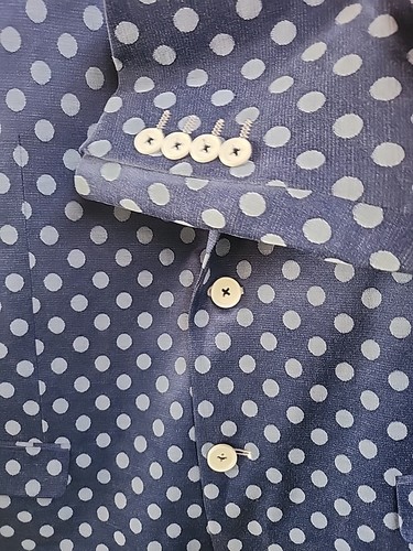 Blazer Vestido Azul Polkadot Para Hombre Calce Ajustado Paisley Y Gris S/42 - Imagen 5 de 13