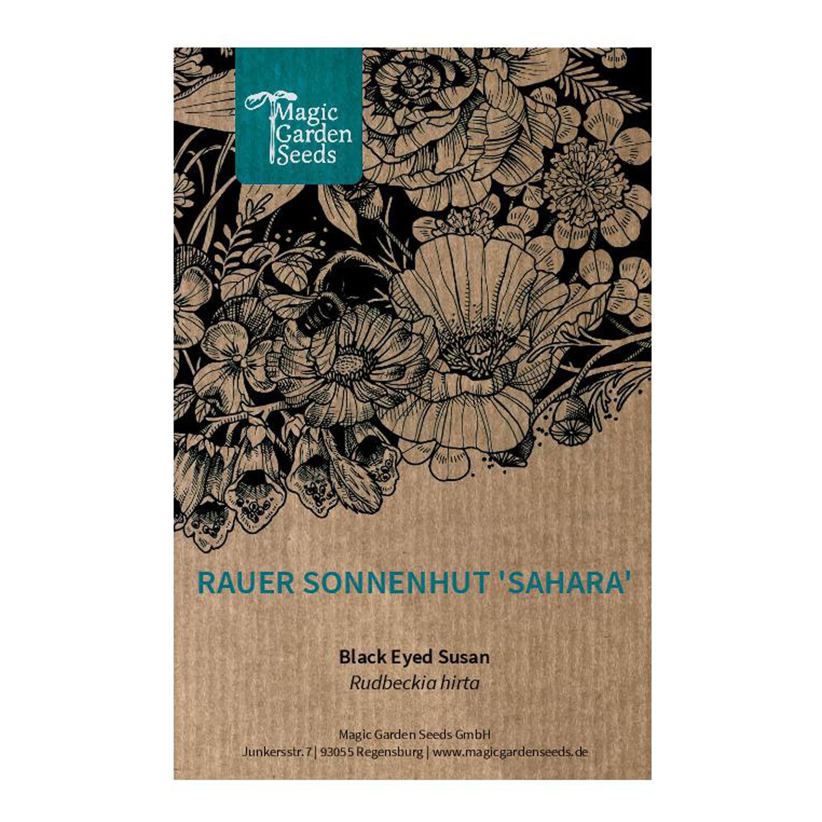 Rudbeckia hirta 'Sahara' (Rudbeckia hirta) - circa 10 semi (X7U)