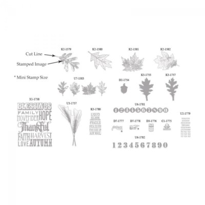 4 New Alterations Shape Cuts Sizzix Eclips Stamp2Cut Cartridge By Tim Holtz No