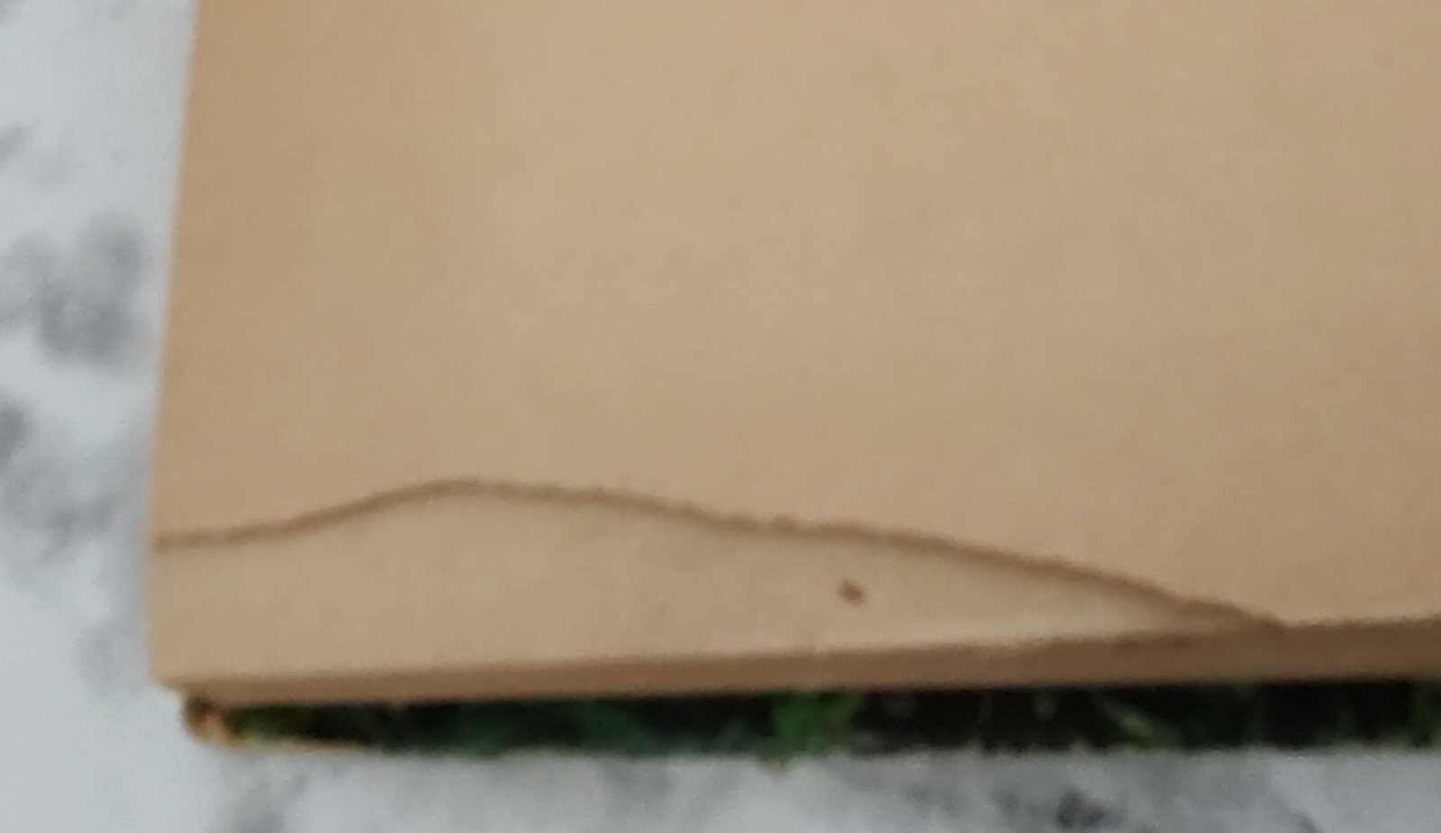 Picture 20 of 22