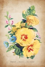 13724.Decor Poster print.Room Wall art design.Botanical.Yellow Flowers bouquet.