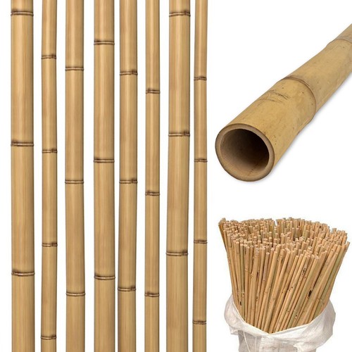 Bamboo Canes Garden Plant Flower Support Profesional Cane Stick Pole Thick Stake - Picture 14 of 30