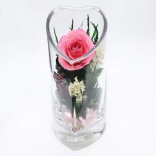  Long Lasting Roses in a Sealed Glass Vase  Fresh Cut Preserved Roses  Uni...