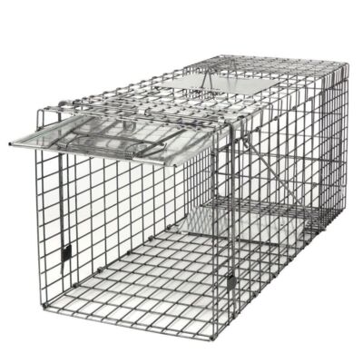 32'' Humane Animal Live Trap Cage for Raccoons Rodent Control Stray Cat Squirrel 