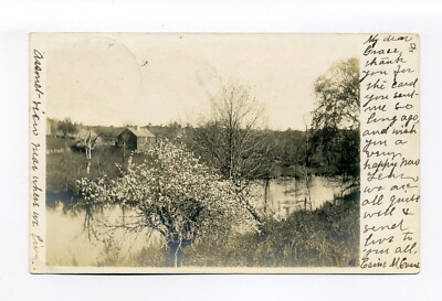 Assonet, Freetown MA 1907 RPPC photo postcard, pond, farmhouse in distance, rare