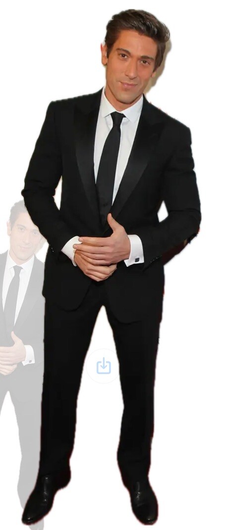 David Muir ABC News Life Size Cardboard Cutout with Free Shipping