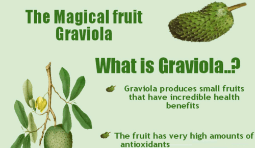 weight loss herbs - GRAVIOLA - ACAI BERRY COMBO 2B - graviola juice organic - Picture 4 of 12