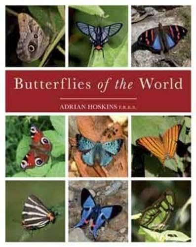 Butterflies Of The World, Hoskins, Adrian - Bild 1 von 2
