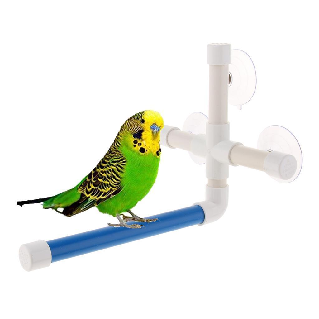 Suction Cup Bird Shower Perch Stand for Parrot Macaw African Greys Toy