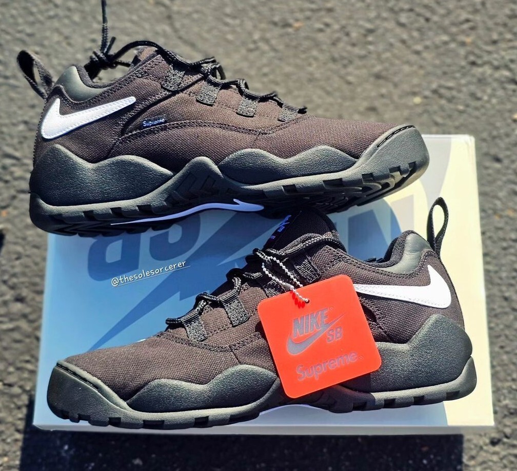 Supreme Nike SB Darwin Low Black FQ3000-001 US 6 - 12 Men | eBay